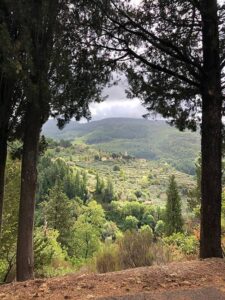 Breathtaking view of the Tuscan hills outside Diacceto right before the trail goes through the forest