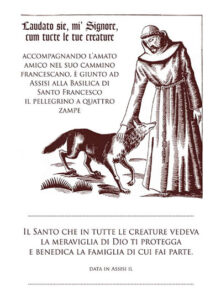 The Four-Legged Pilgrim Certificate, Way of St Francis, photo by Via di Francesco